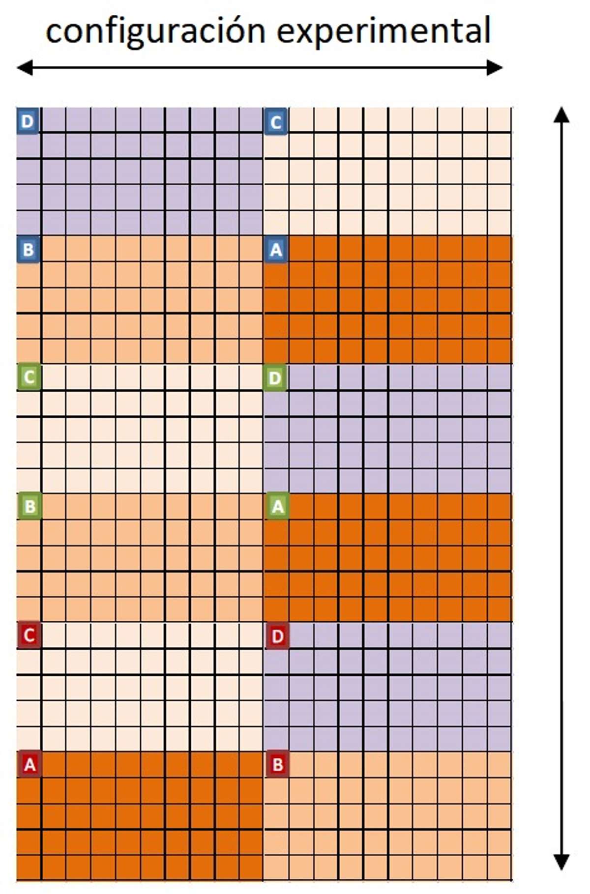 RN2_1 figure design